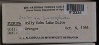 Image Associated With the Occurence